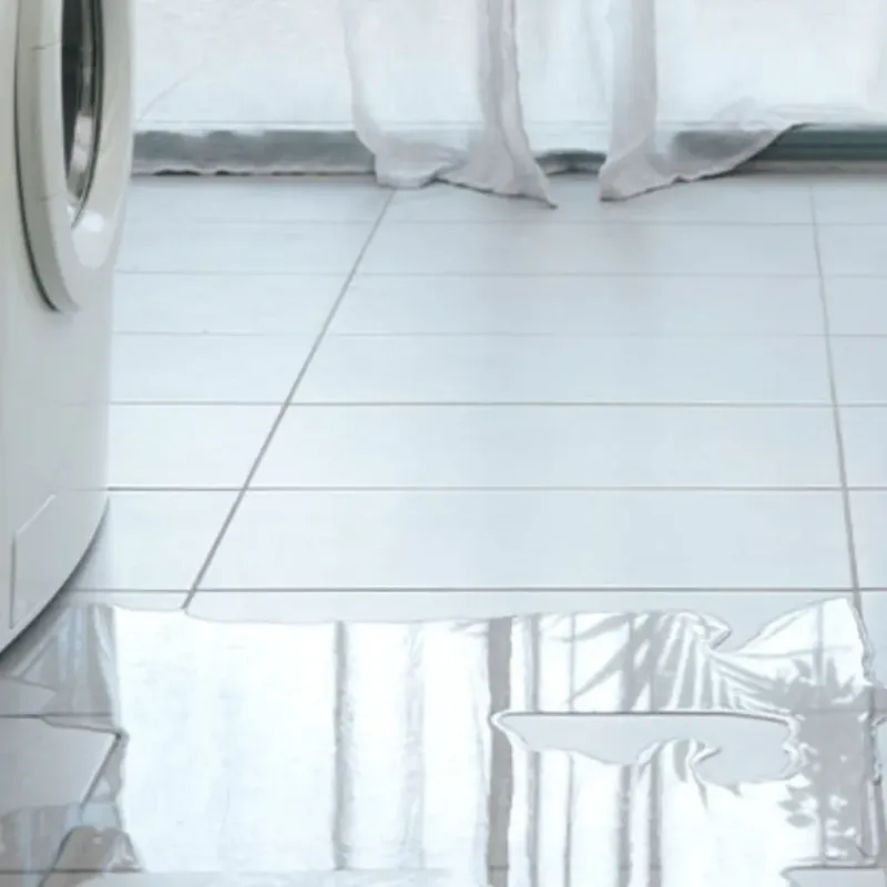 Appliance Leak Cleanup in Dixon, IL