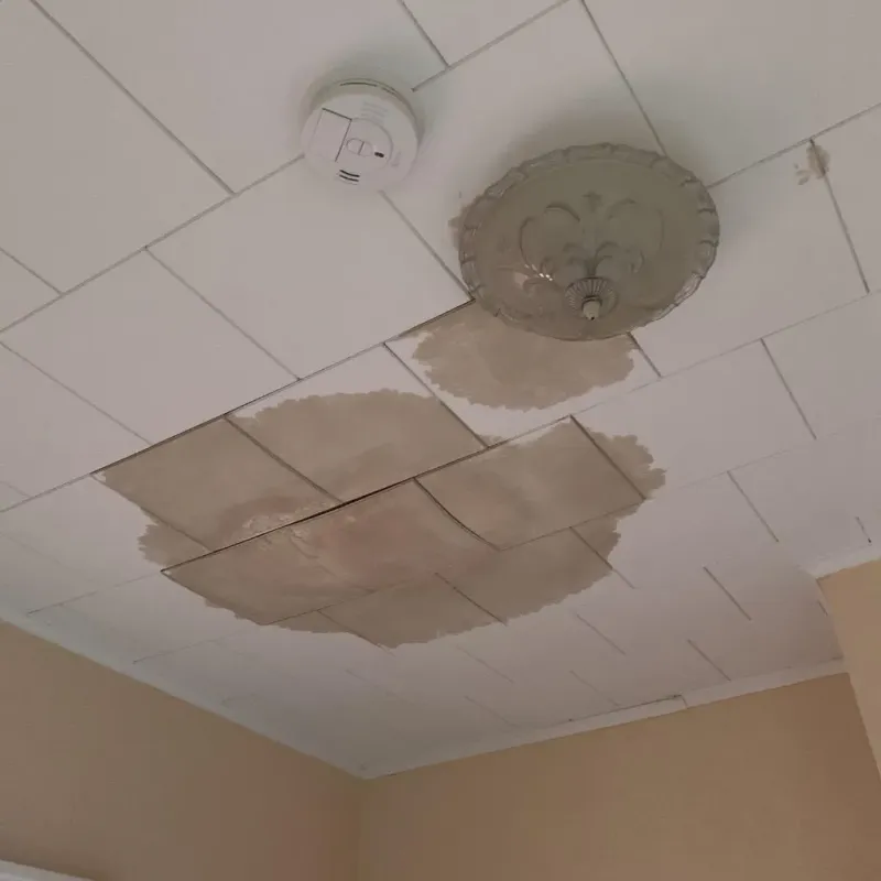 Ceiling Water Damage Repair in Dixon, IL