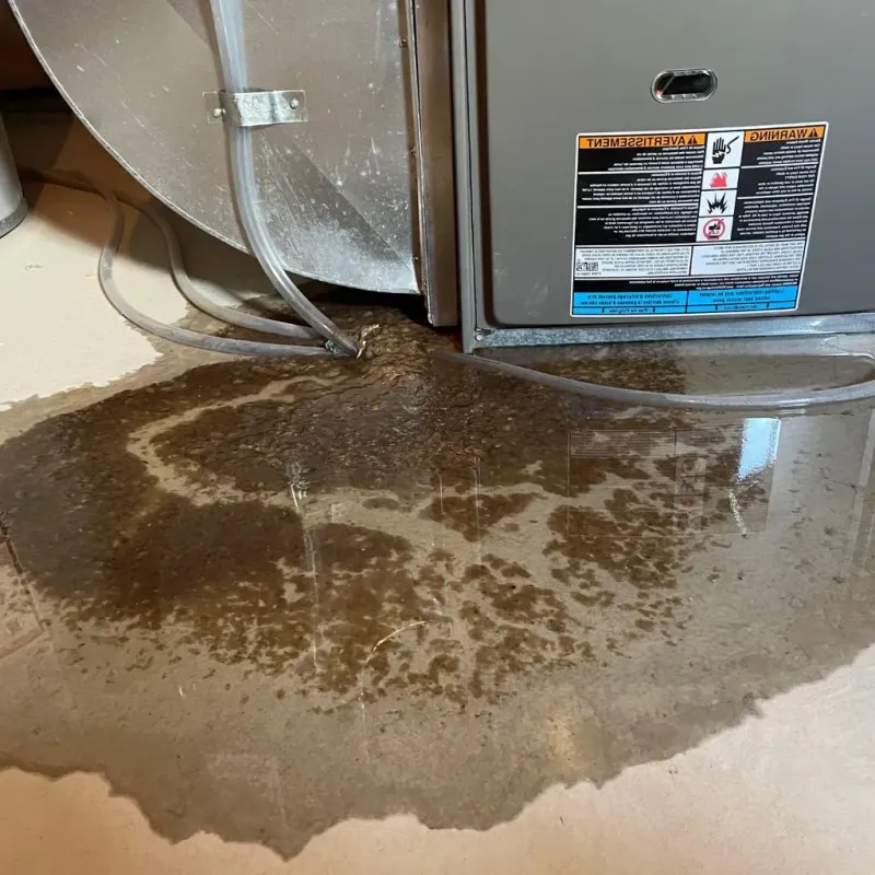 Pipe Burst and Leak Restoration in Dixon, IL